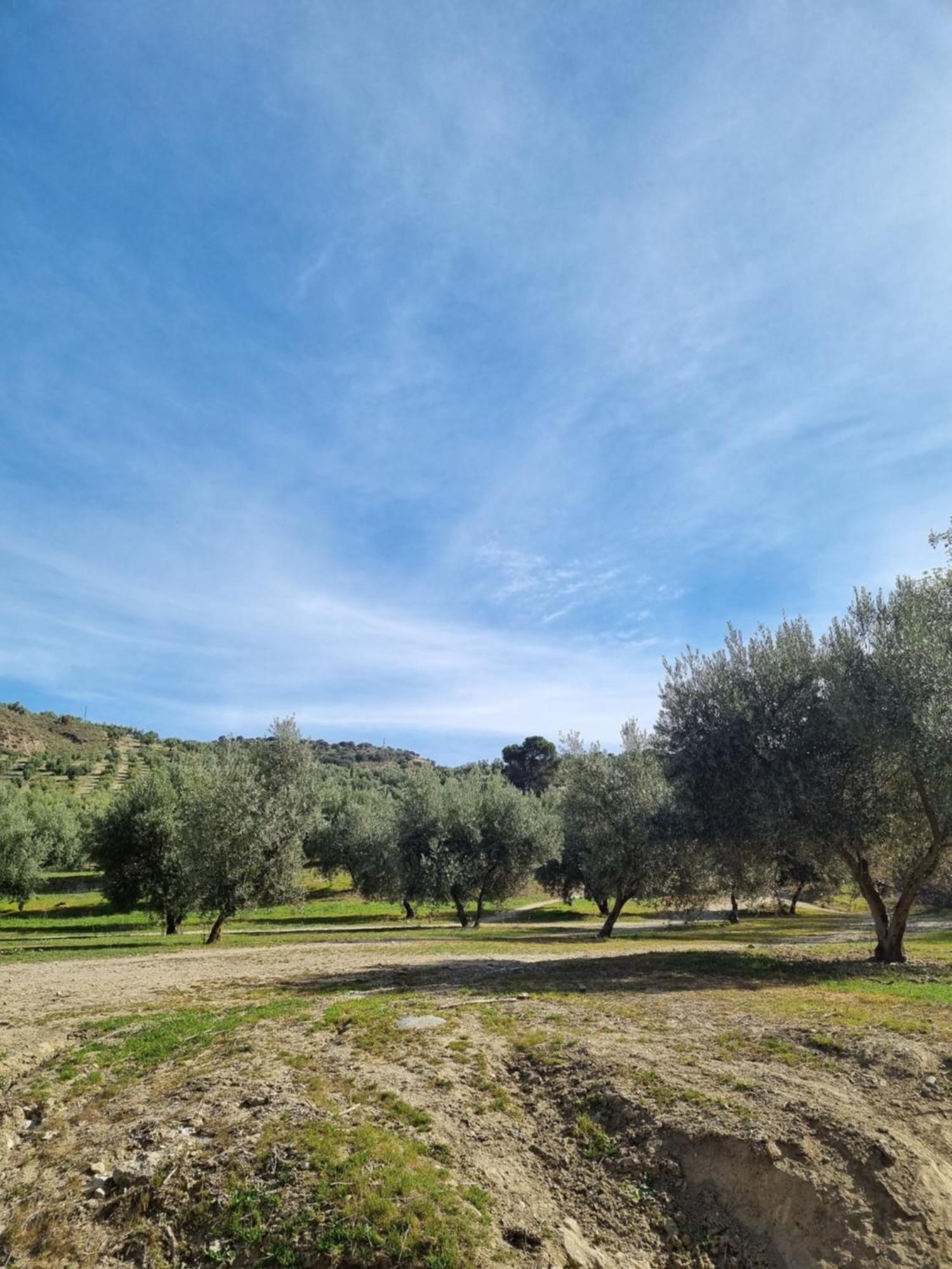 La Colina Ladyblue Apto Acogedor Cerca De Sierra Nevada Y Alhambra Сенес де ла Вега Екстериор снимка